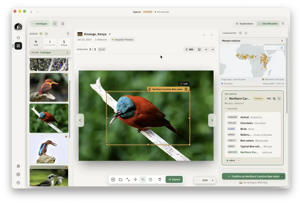 Le studio d’identification de Specio : un oiseau encadré dans la photo, les espèces proposées et leur répartition géographique.